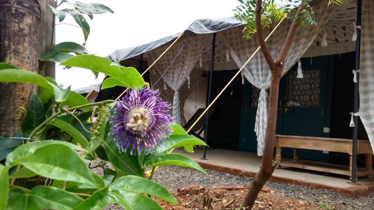 Bohemyan Blue Stay Alibaug Ngoại thất bức ảnh