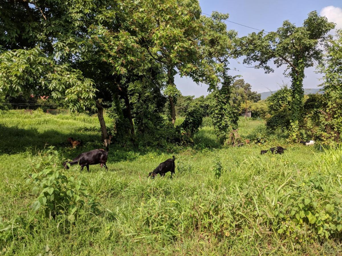 Bohemyan Blue Stay Alibaug Ngoại thất bức ảnh